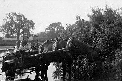 Taking milk to Blickling Mill - 1942